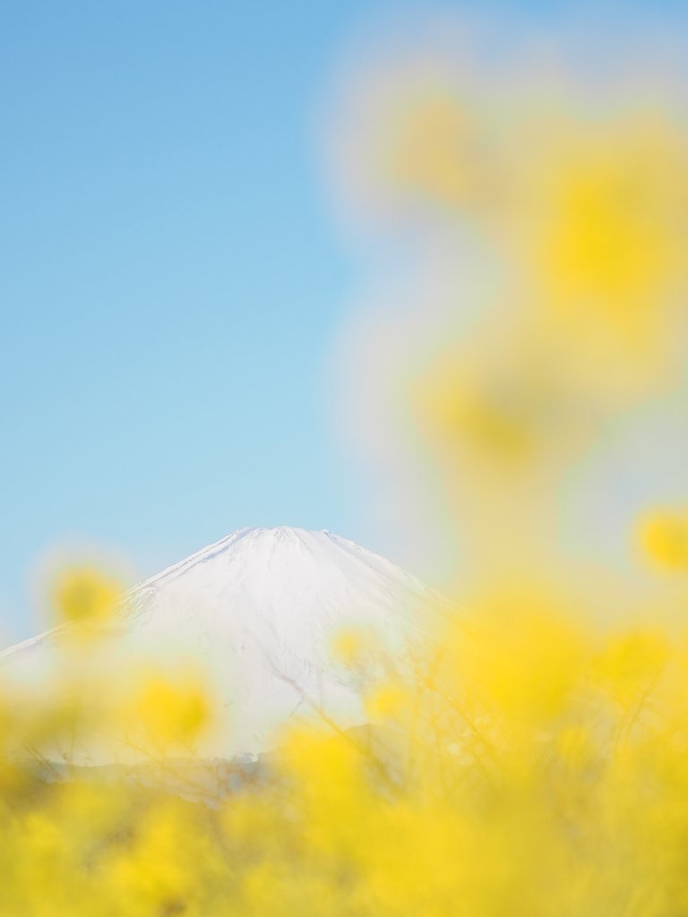 立ち昇る春