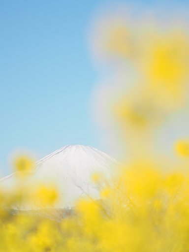 立ち昇る春