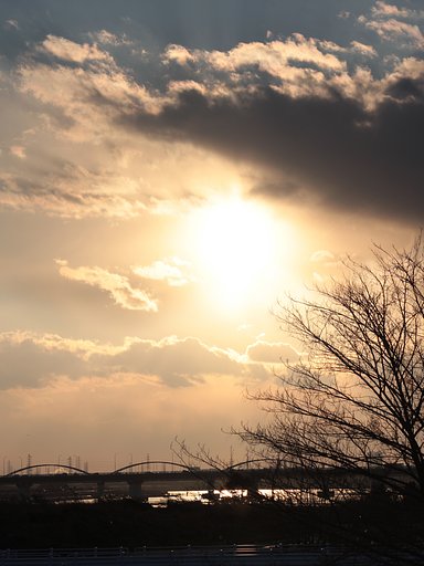 淀の夕暮れ（二枚目）