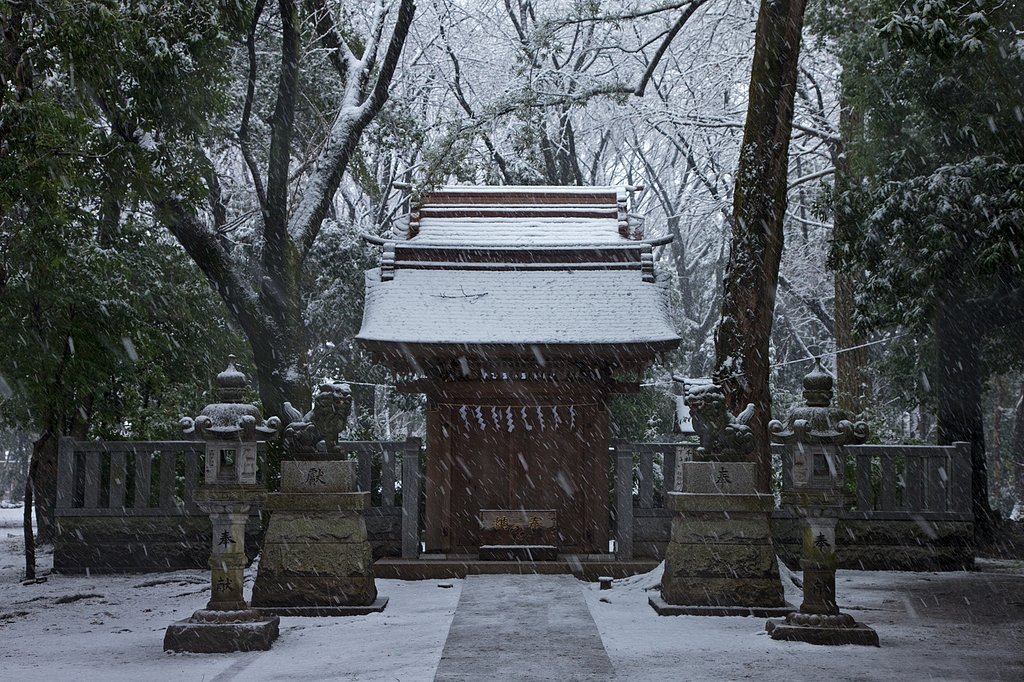 雪が恋しい