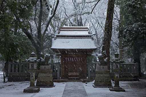 雪が恋しい