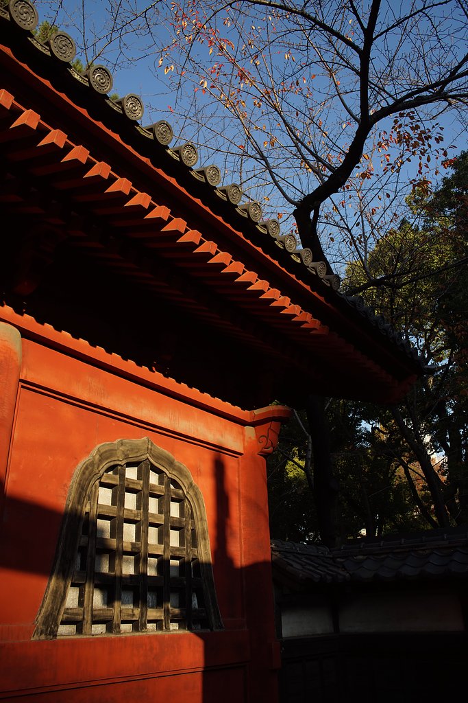 Distagon 2/28
