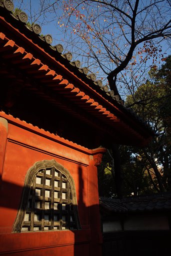 Distagon 2/28