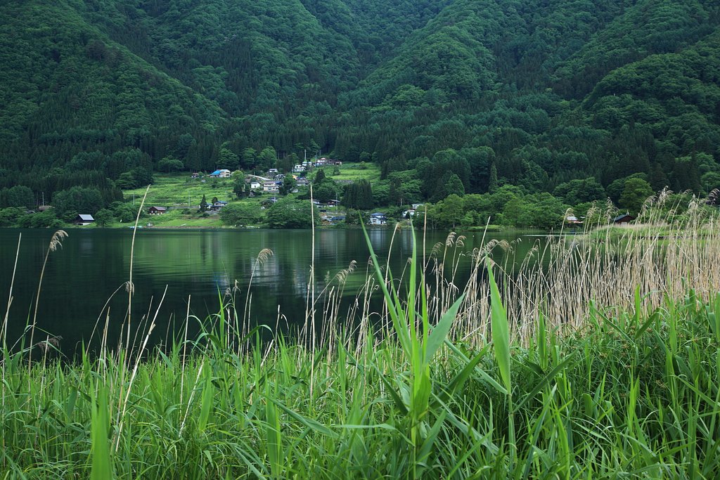 梅雨の木崎湖