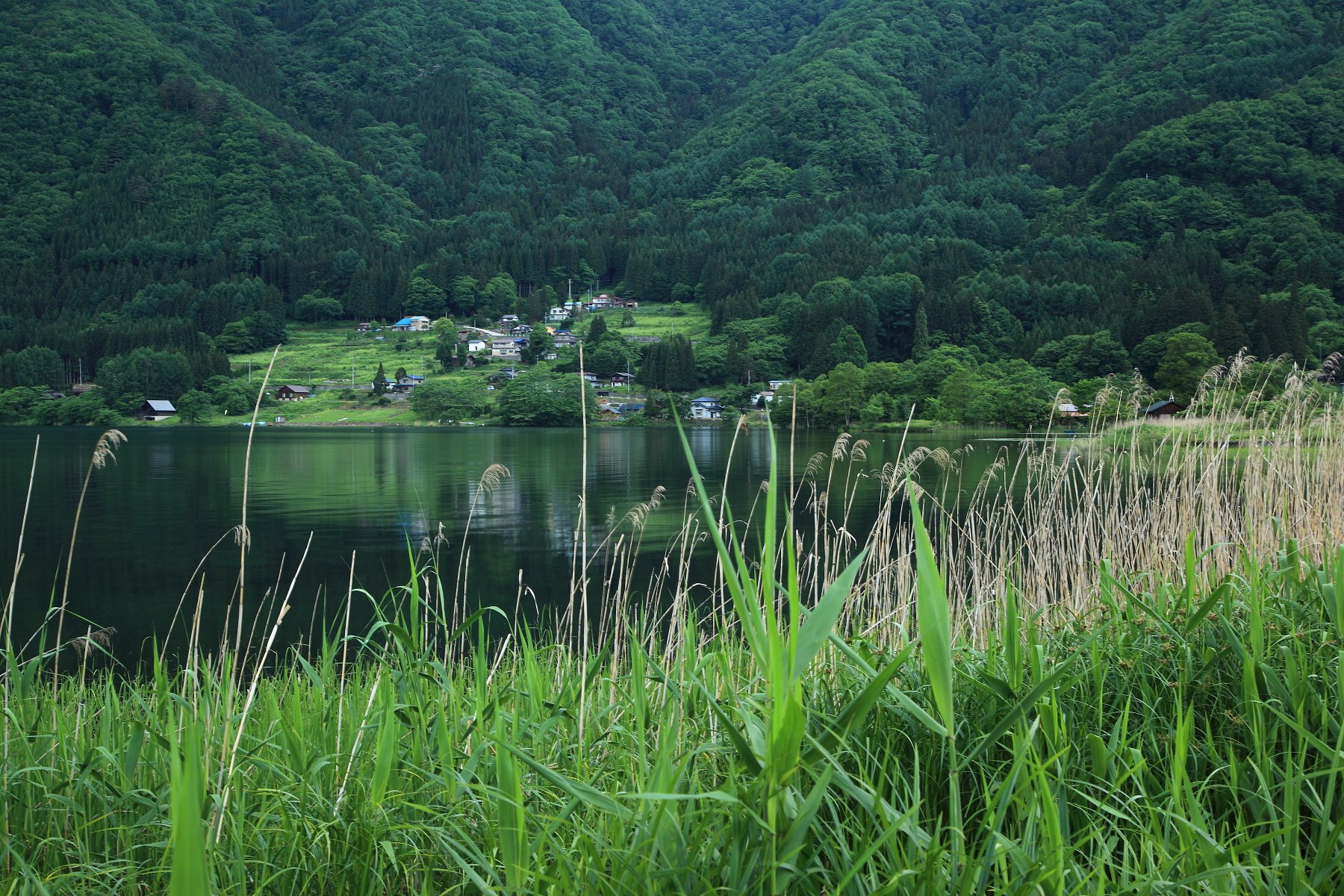 梅雨の木崎湖