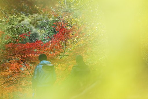 秋歩く二人