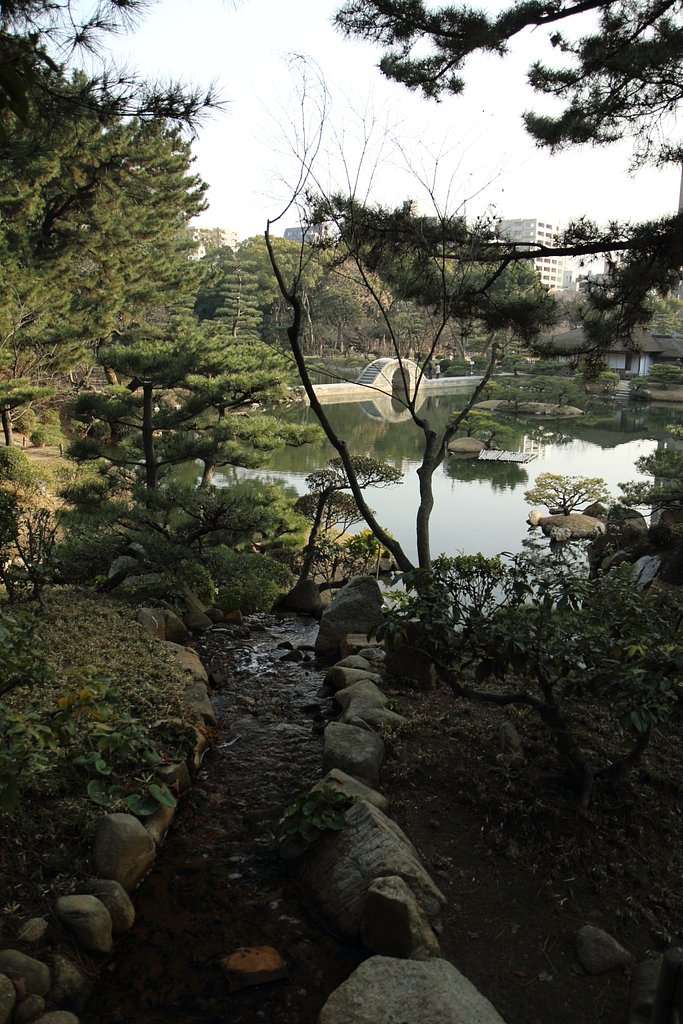 縮景園を撮る
