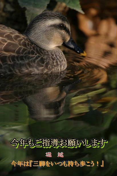 あらためて