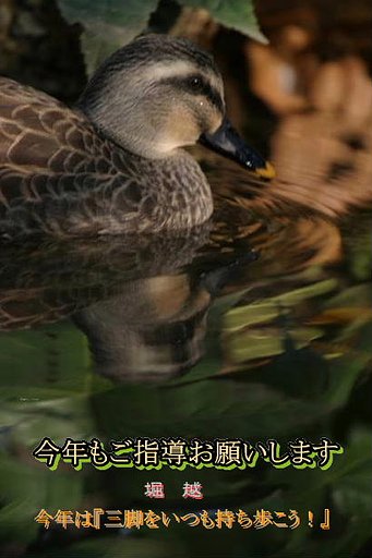 あらためて