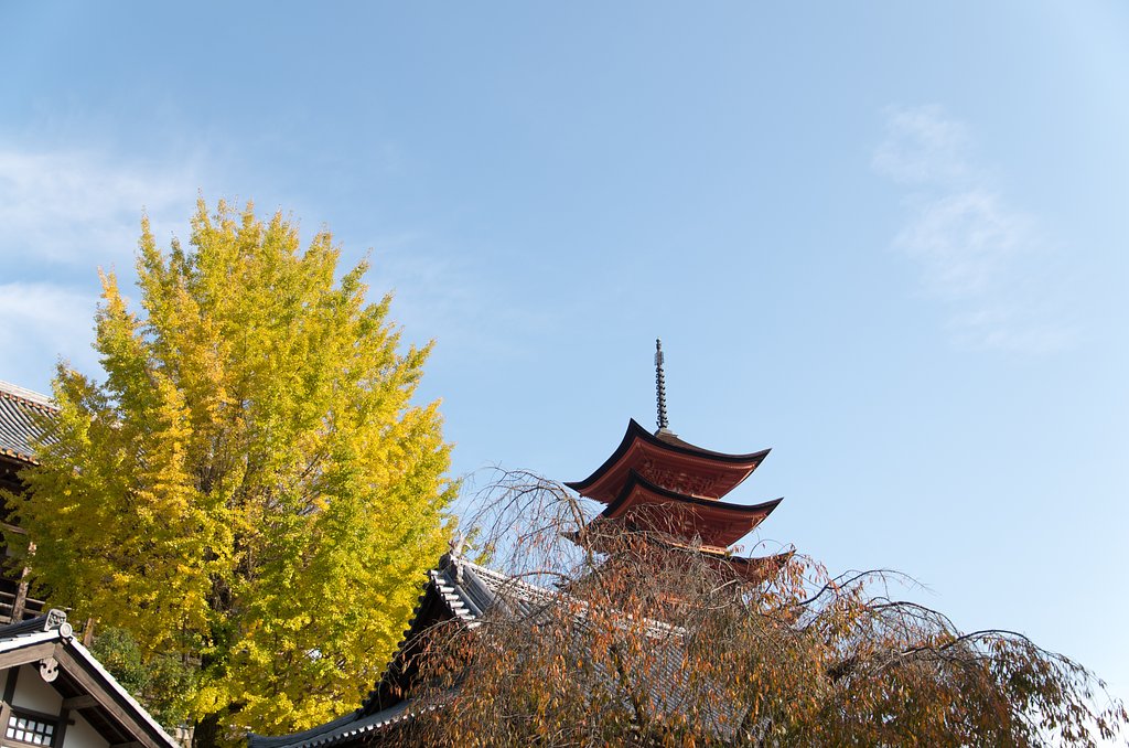 宮島８