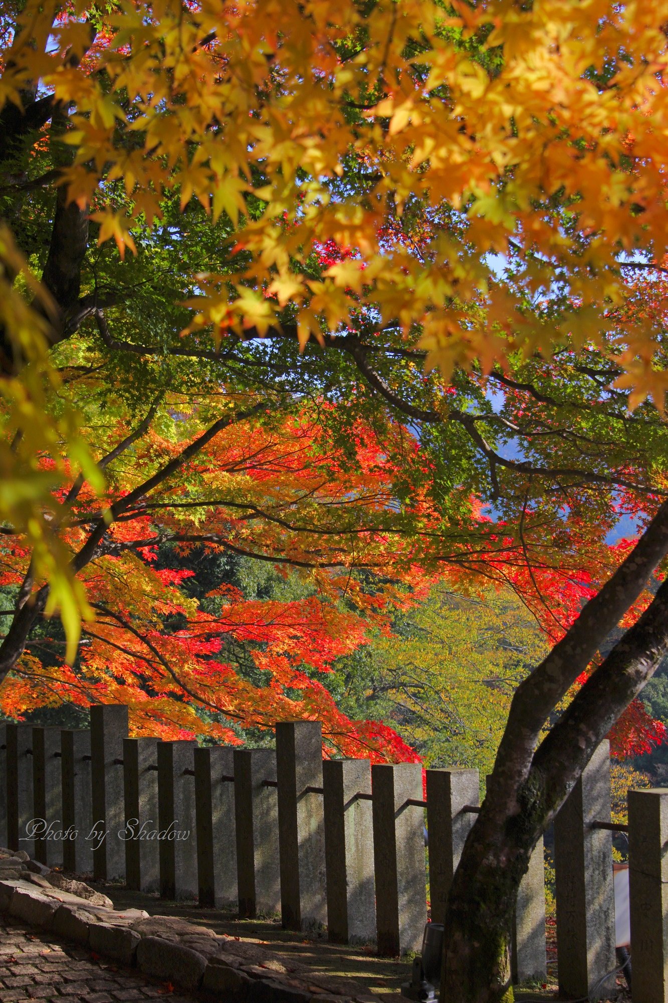 永源寺