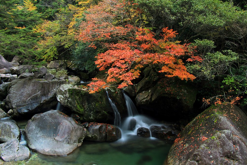 秋の渓谷