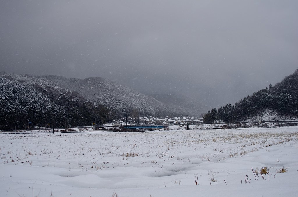 吹雪に・・。