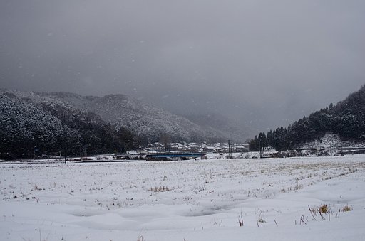吹雪に・・。