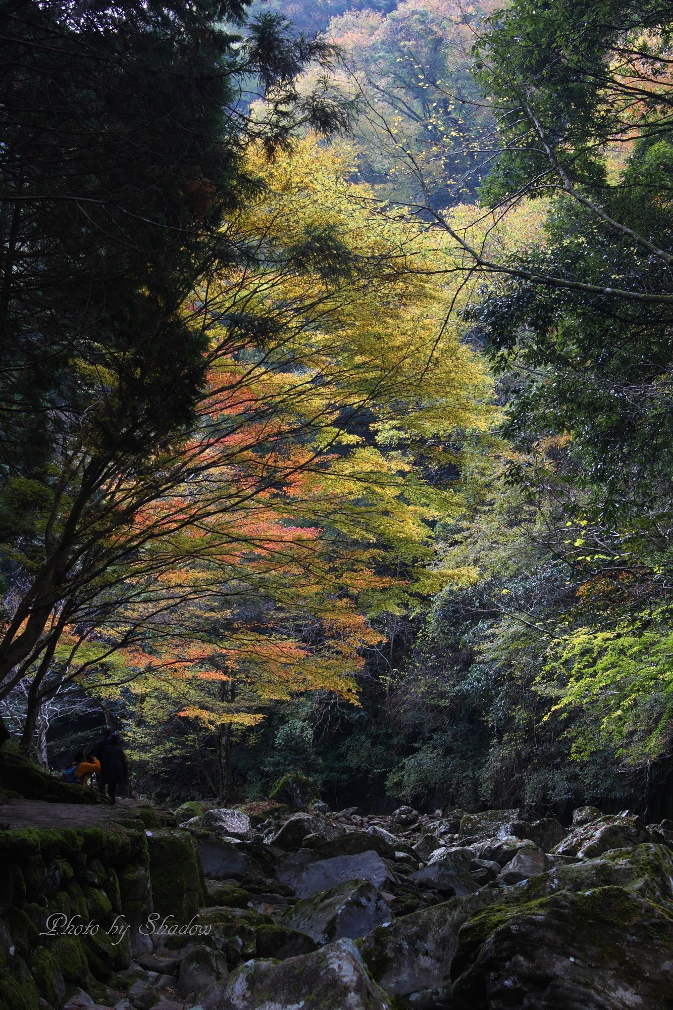 赤目の滝