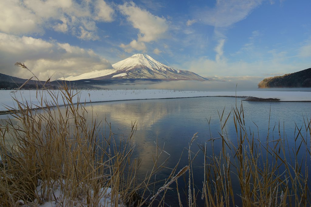 SAMYANG T-S24mm F3.5