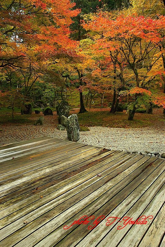 光明禅寺　庭園