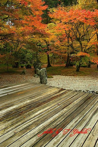 光明禅寺　庭園