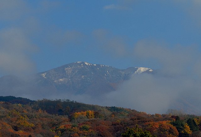 紅葉風景