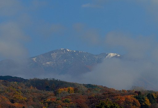 紅葉風景