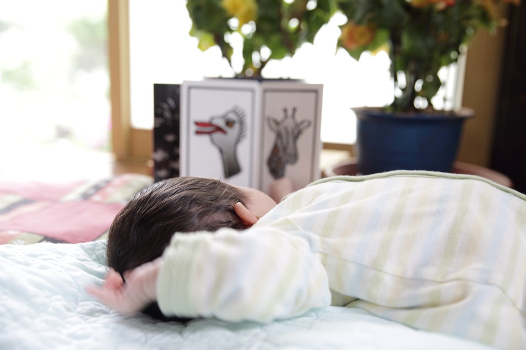 晴耕雨読