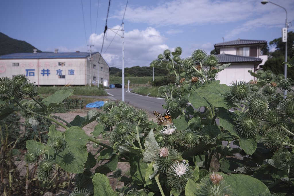 二歩写真