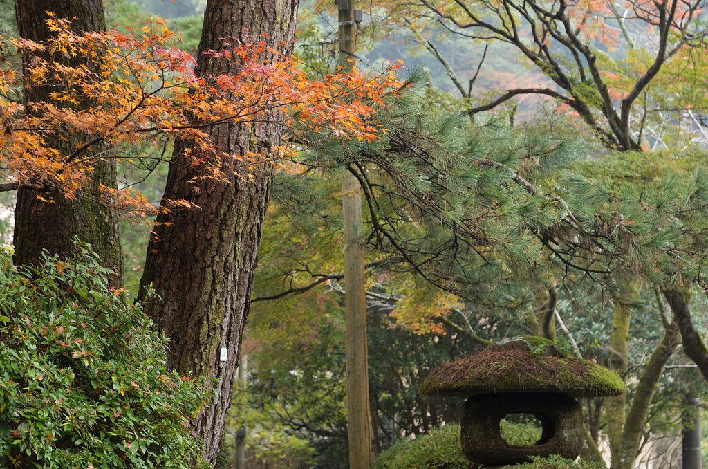 大寧寺５