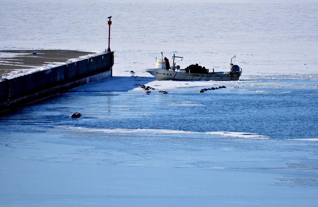 厳冬のサロマ湖
