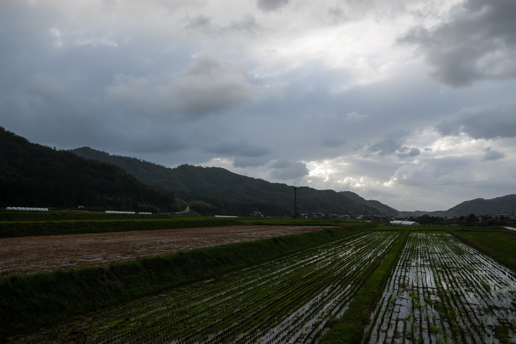 台風一過・・。