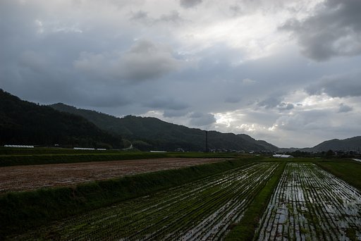 台風一過・・。