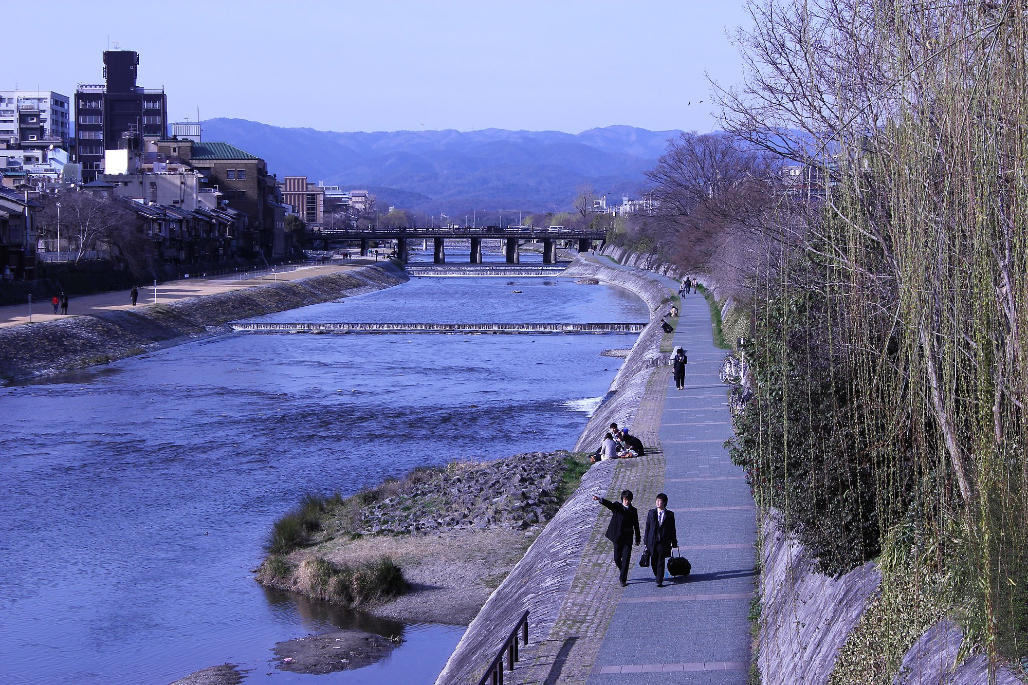春の鴨川