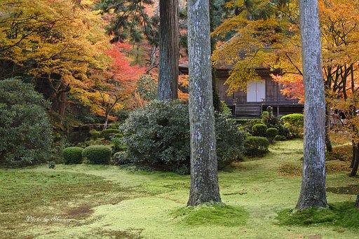 大原三千院