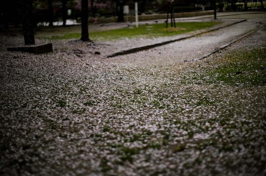 雨ですね、、
