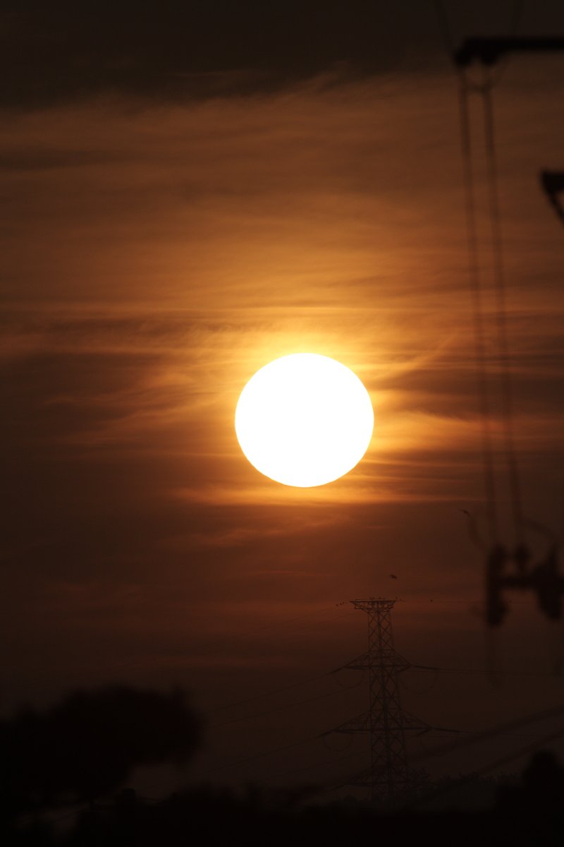 太陽にほえろ
