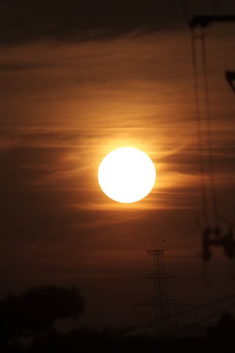 太陽にほえろ