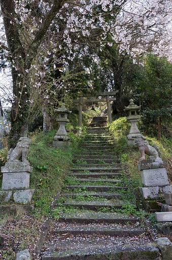 花階段