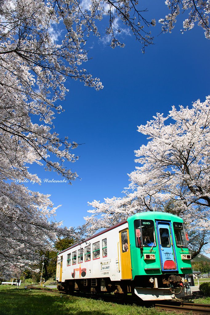 春を求めて・・・