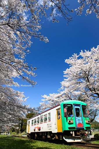 春を求めて・・・