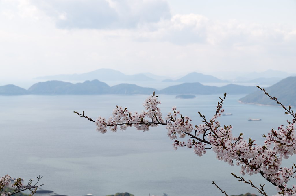 旅人