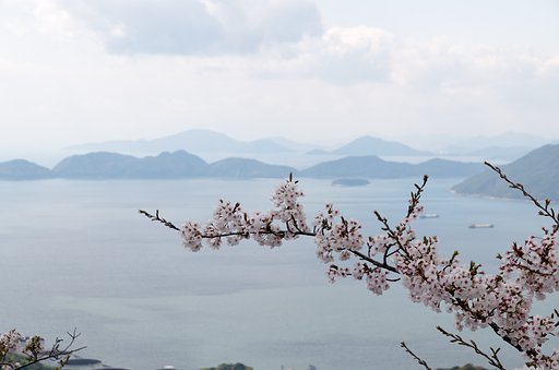 旅人
