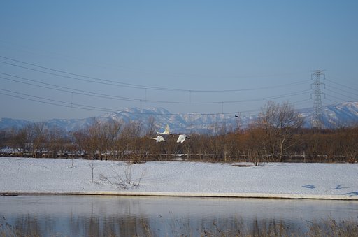 旅立ち