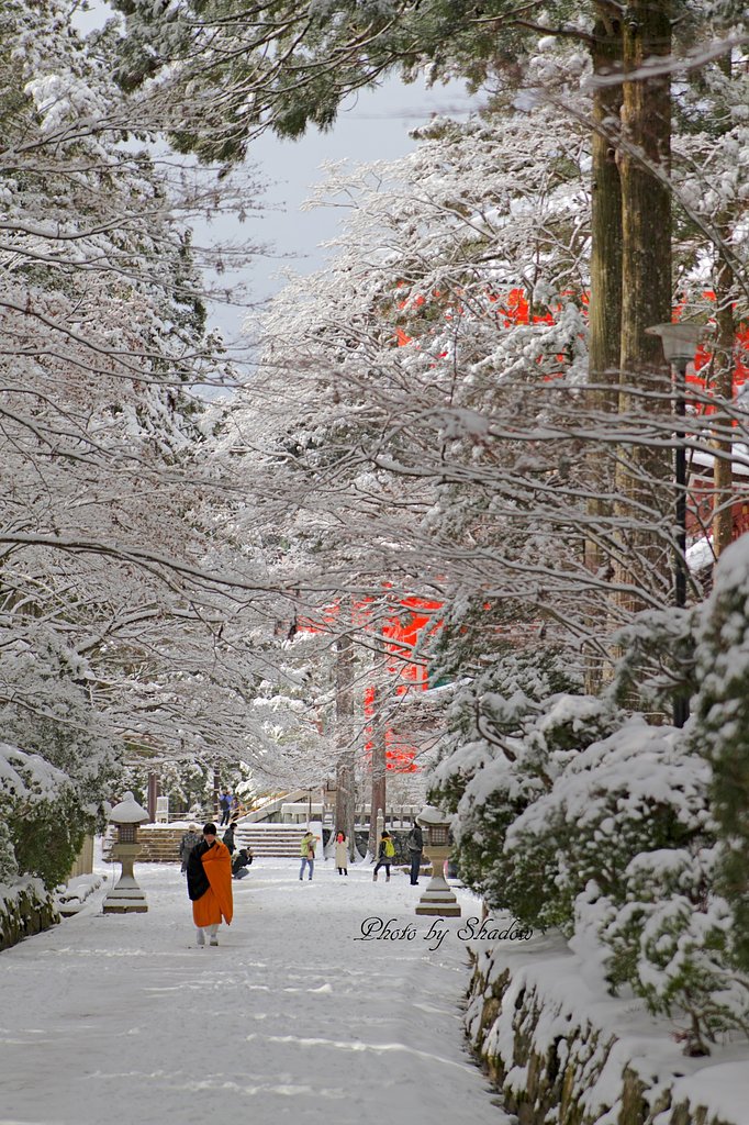 雪の高野山