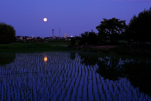月齢15.3