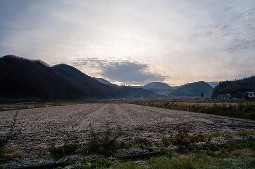 霜が下りた朝日の出。