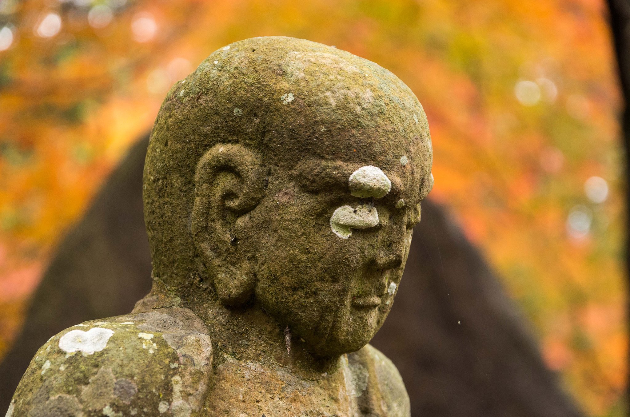 大寧寺１７