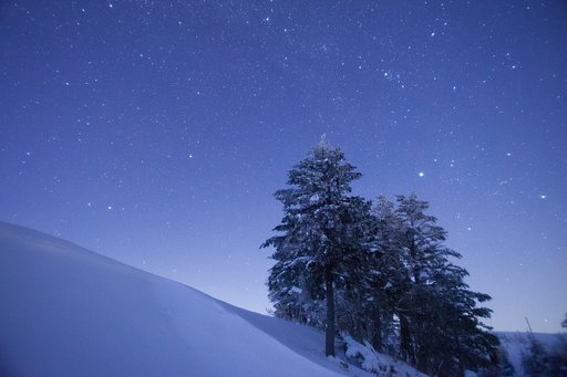 星空のメリークリスマス
