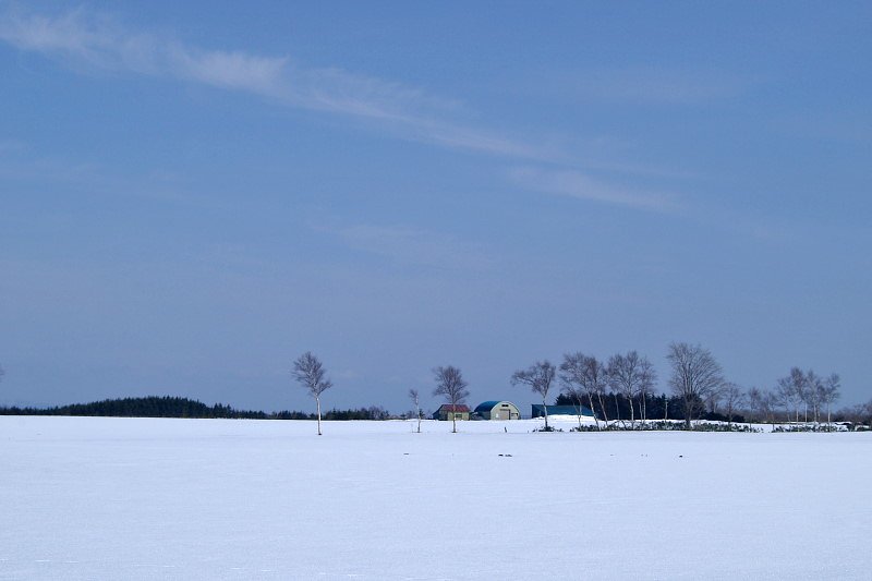 農地に早春