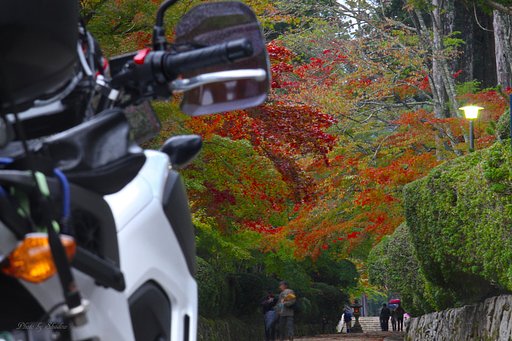 雨の高野山