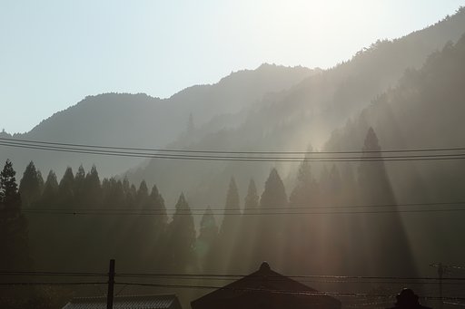 【いのち】育む光
