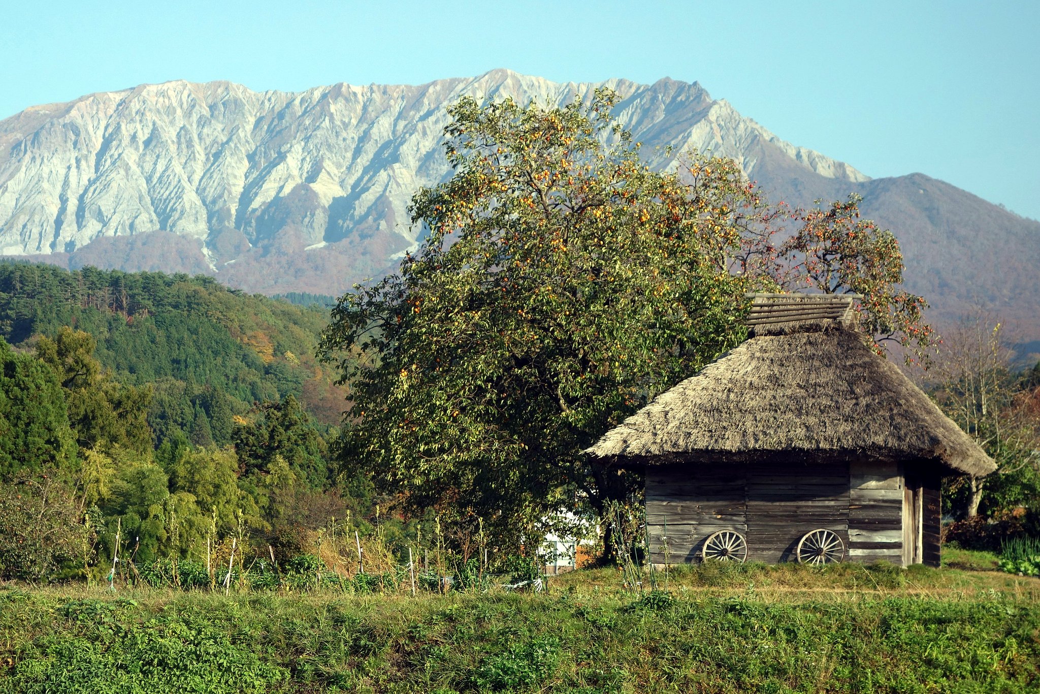 大山